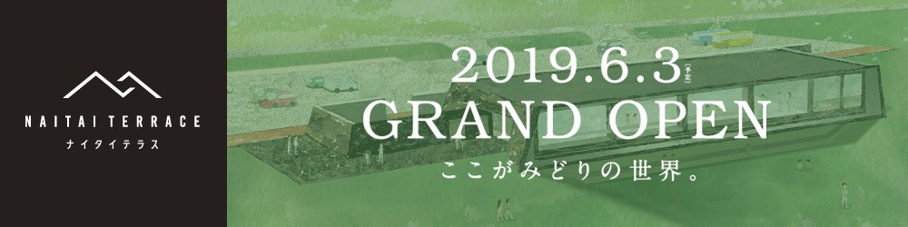 ナイタイテラス